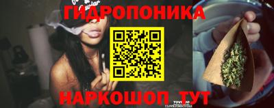 гашик Ивантеевка