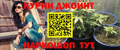 spice Ижевск