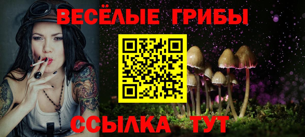 наркотики  Псилоцибиновые грибы MAGIC MUSHROOMS  Вход с VPN  Галлюциногенные грибы Psilocybe  Брянск 